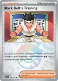 Black Belt's Training - 096/131 (Poke Ball Pattern) #096/131