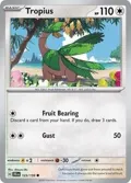 Tropius #123/159