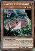 Danger!? Tsuchinoko? (PCR) RA04-EN027