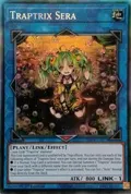 Traptrix Sera (PCR) RA04-EN075