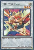THE Star Ham DUAD-EN041