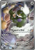 Tornadus - 210 (Pokemon Center Exclusive) #210