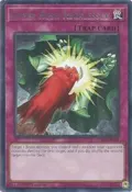 Super Rush Recklessly JUSH-EN055