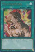 Metamorphosis MP25-EN299