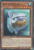 White Sunfish MP25-EN304