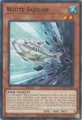 White Sardine MP25-EN305