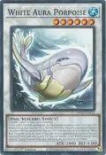 White Aura Porpoise MP25-EN312