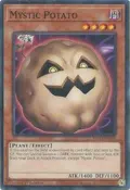 Mystic Potato MP25-EN339