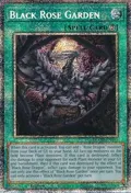 Black Rose Garden (Starlight Rare) DOOD-EN055