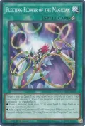 Fleeting Flower of the Magician DOOD-EN089