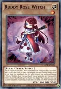 Ruddy Rose Witch L5DD-ENA13