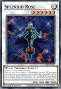 Splendid Rose L5DD-ENA27