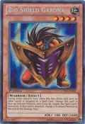 Big Shield Gardna LCYW-EN032