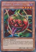 Mystic Tomato LCYW-EN239