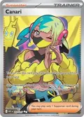 Canari #257/217