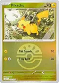 Pikachu (Friend Ball) #055/217