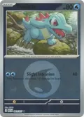 Totodile (Energy Symbol Pattern) #041/217