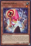Gnomaterial MZMU-EN089