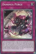 Dominus Purge (PCR) RA05-EN150