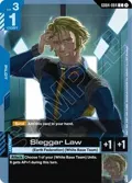 Sleggar Law GD04-084