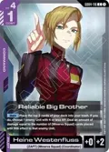 Reliable Big Brother GD04-116