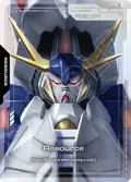 Resource (C+) R-031
