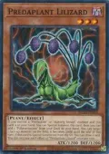 Predaplant Lilizard BLZD-EN008