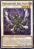 Predaplant Bal Teah BLZD-EN039
