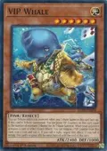 VIP Whale BLZD-EN084