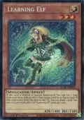Learning Elf BLGG-EN026