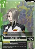 Meir Siva EB01-065