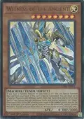 Witness of the Ancient CORI-EN081