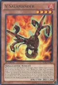 V Salamander JOTL-EN002