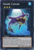 Shark Caesar JOTL-EN049