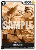 Hajrudin (Pandaman Art) OP17-088
