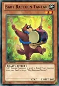 Baby Raccoon Tantan SHSP-EN015