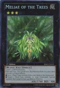 Meliae of the Trees SHSP-EN055