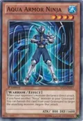 Aqua Armor Ninja SP13-EN017
