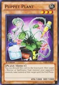 Puppet Plant YSKR-EN022