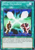Soul Exchange YSKR-EN029