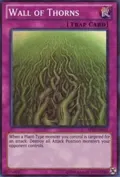 Wall of Thorns AP03-EN013