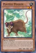Playful Possum BPW2-EN033
