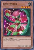 Rose Witch LVAL-EN093