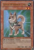 Shiba-Warrior Taro YAP1-EN008