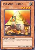 Pyramid Turtle (Blue) DL11-EN008