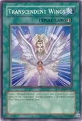 Transcendent Wings DR04-EN045