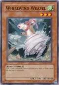 Whirlwind Weasel DR04-EN205