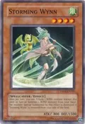 Storming Wynn DR04-EN209
