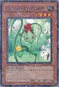 Naturia Rosewhip DT02-EN071