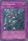 Ivy Shackles DT02-EN098
